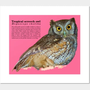 tropical screech owl under a roof black text Posters and Art